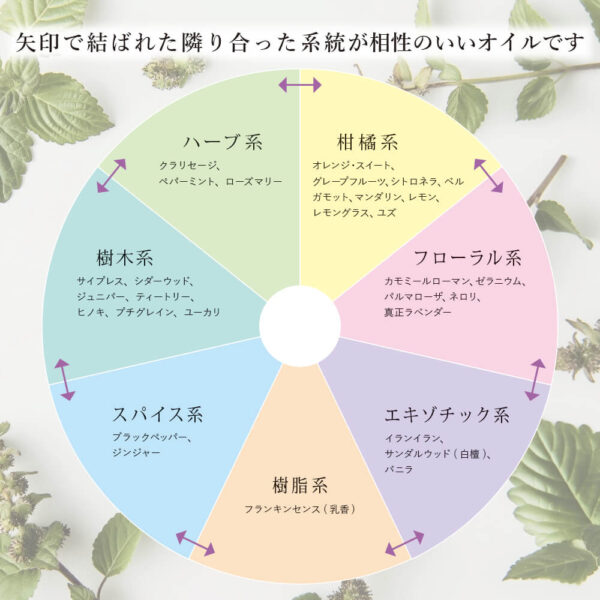 【AEAJ認定】深呼吸したくなる香り エッセンシャルオイル デイリーアロマ ユーカリ 3ml【精油】 - 画像 (3)