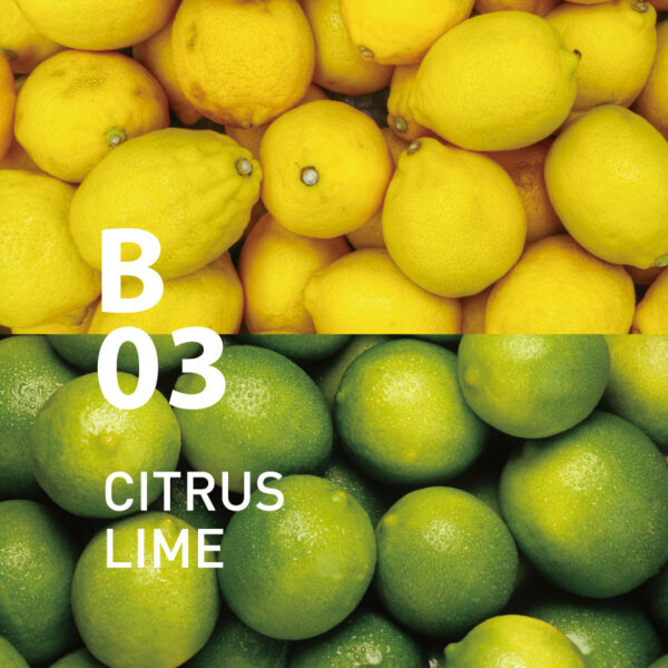 アットアロマ 100%pure　essential　oil　＜Botanical　air　B03シトラスライム＞ - 画像 (2)