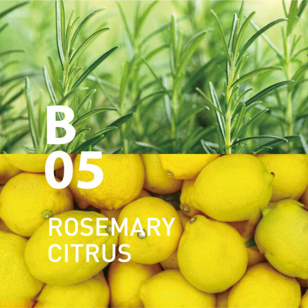 アットアロマ 100%pure　essential　oil　＜Botanical　air　B05ローズマリーシトラス＞ - 画像 (2)